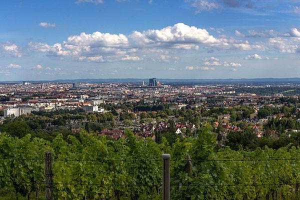 wien-panorama-mit-weinbergen-als-lokaler-lifestyle--und-ausblick-akzent